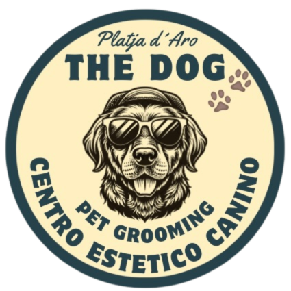 The Dog Platja d Aro